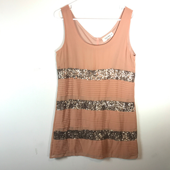 Eurishop Dresses & Skirts - Eurishop 20s-esque Blush & Sequin Party Dress